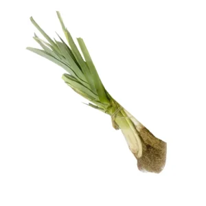 Leek