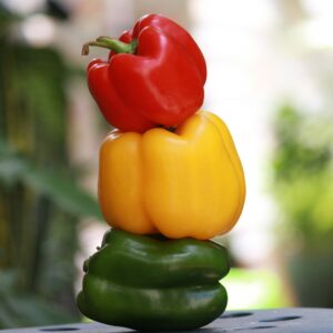 Bell Pepper